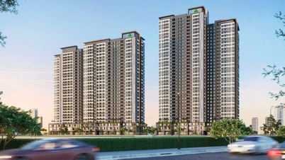 2 ông lớn Nhật Bản liên doanh với công ty Việt làm nhà dưới 2 tỷ đồng/căn
