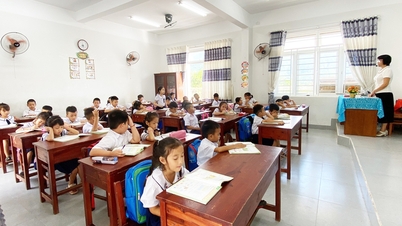 Da Nang exempts more than 108 billion VND in tuition fees for students