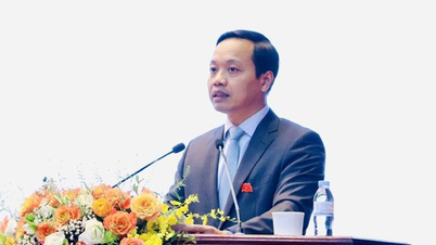 총리, 법무부 차관 임명