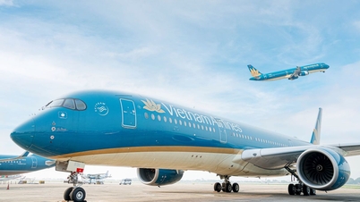 Vietnam Airlines tiếp tục hoãn họp đại hội cổ đông