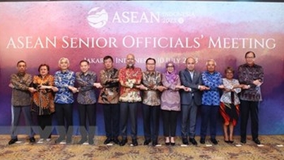 Việt Nam tham dự cuộc họp SOM ASEAN và SEANWFZ
