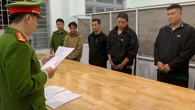 Hãi hùng phát hiện 6 cơ sở dùng hoạt chất độc hại làm ra hàng chục ngàn tấn giá đỗ