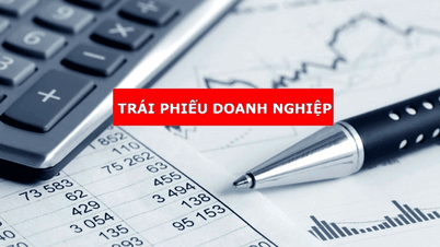 Tỷ phú Phạm Nhật Vượng khuấy động thị trường trái phiếu sau thương vụ lịch sử
