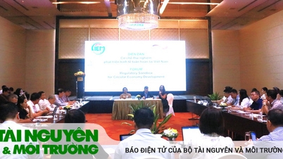 ការបង្កើតកន្លែងសម្រាប់អាជីវកម្មដើម្បីទទួលយកសេដ្ឋកិច្ចរាងជារង្វង់