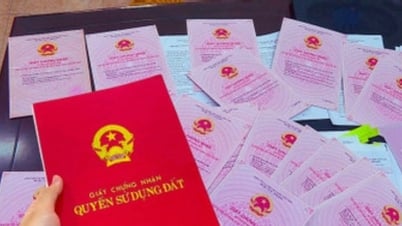 Bản tin kinh tế 1/1: Giá gas tăng; nới thời gian cấp sổ đỏ cho đất không giấy tờ