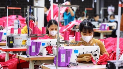 2023: Vietnam's GDP increases by 5.05%, reaching 430 billion USD