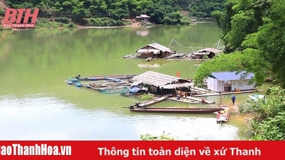 Quan Hoa បង្កើតគំរូផលិតកម្ម