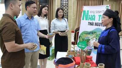 Xúc tiến quảng bá du lịch Thái Nguyên - Vĩnh Phúc