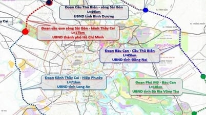 호치민시 순환도로 4호선 투자정책 결정 국회 제출 예정, 총자본금 128,063억 VND