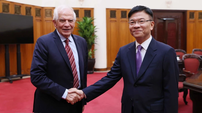 Phó Thủ tướng đề nghị EC sớm gỡ ‘thẻ vàng’ với xuất khẩu hải sản của Việt Nam