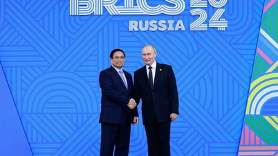 Thủ tướng dự lễ đón các nhà lãnh đạo tại Hội nghị BRICS mở rộng