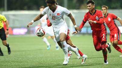 Bán kết lượt về AFF Cup 2024, Việt Nam