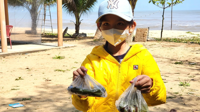 សិស្ស​ធ្វើ​ការ​នៅ​ពេល​តេត​នៅ​ឆ្នេរ​សមុទ្រ