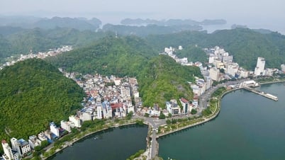ទីក្រុង Hai Phong៖ ការបង្កើតគណៈកម្មាធិការដឹកនាំគ្រប់គ្រងបេតិកភណ្ឌឈូងសមុទ្រ Ha Long - ប្រជុំកោះ Cat Ba