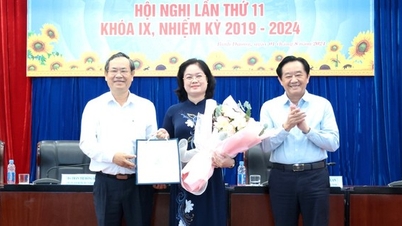 Phó chủ tịch UBND tỉnh Bình Dương Nguyễn Văn Dành thêm nhiệm vụ