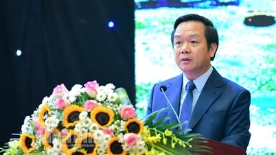 របាយការណ៍របស់មជ្ឈមណ្ឌលកំណត់ទម្រង់អត្តសញ្ញាណ Ninh Binh រួមជាមួយនឹងម៉ាកយីហោក្នុងស្រុក បង្ហាញដោយប្រធានគណៈកម្មាធិការប្រជាជនខេត្ត
