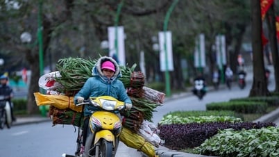 Dự báo thời tiết 5/11/2024: Không khí lạnh tăng cường, miền Bắc mưa rét