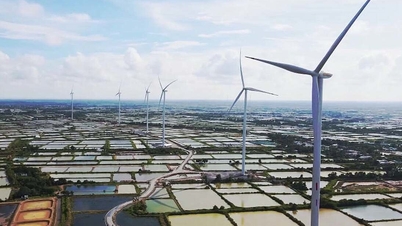 Ministry of Industry and Trade: Renewable energy has not been mobilized yet due to lack of documents