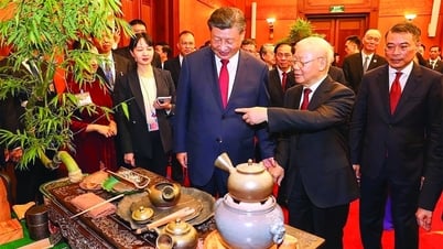 Confidence in Vietnam's ability and influence in the international community