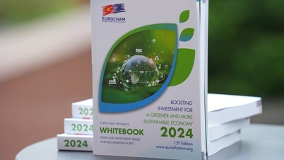 EuroCham Chairman: Vietnam's economy shows resilience and flexibility