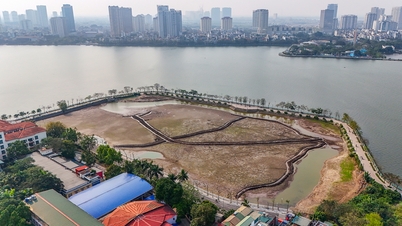 Đầm, ao quanh Hồ Tây cạn trơ đáy