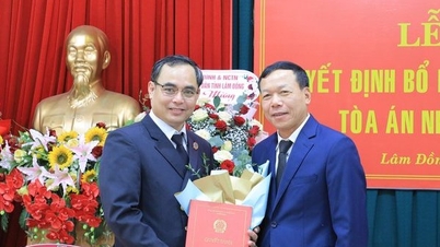 តែងតាំង​អនុប្រធាន​តុលាការ​ប្រជាជន​ខេត្ត Lam Dong
