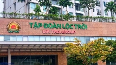 Cổ phiếu LTG của Lộc Trời bị hạn chế giao dịch từ 24/10