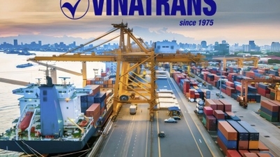 Tổng giám đốc Vinatrans xin nghỉ việc vì “môi trường làm việc quá nhiều bất ổn”