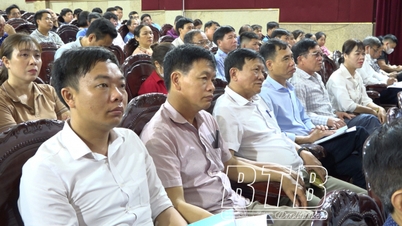 Tiền Hải: Tập huấn nâng cao năng lực thành viên hội đồng xác định mức độ khuyết tật năm 2023