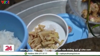 VTV24 phản hồi về phóng sự "Bữa cơm trắng với gừng" ở Yên Bái gây xôn xao
