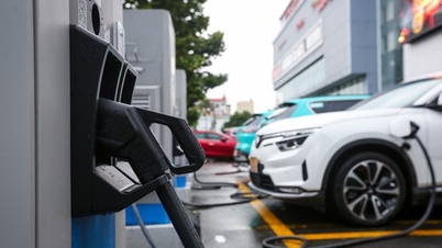 Los coches eléctricos no son inflamables.