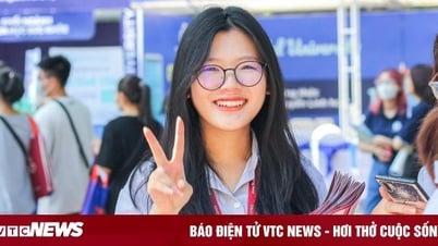 Ngành học nào có mức lương ổn định nhất dành cho sinh mới ra trường?