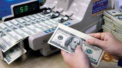 Tỷ giá trung tâm vượt 24.000 đồng, USD sẽ còn "nóng lên"