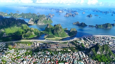 Khu đất ‘vàng’ xây bệnh viện 4.200 tỷ đang vướng mặt bằng ở Quảng Ninh