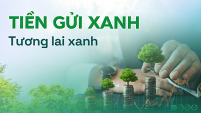 Tiền gửi xanh - đầu tư cho tương lai xanh