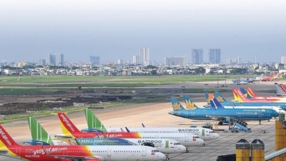 多くのフライトが完売、航空会社はフライト数を増やす予定