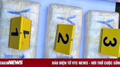 Young man arrested for transporting 18,000 drug pills