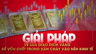 Giải pháp về sàn giao dịch vàng để vốn chết trong dân chảy vào nền kinh tế