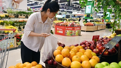 Chi gần 2 tỷ USD nhập khẩu, trái cây nào tràn về Việt Nam nhiều nhất?