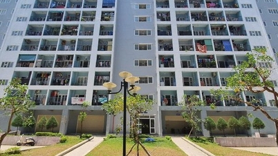 Đà Nẵng xét duyệt 44 căn hộ chung cư cho người nghèo thuê