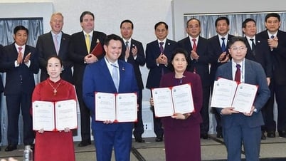 Liên minh xanh Saigontel phối hợp nghiên cứu về giảm phát thải ở TP.HCM
