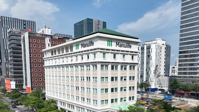 Tập đoàn Manulife ghi nhận kết quả kinh doanh quý 2/2024 với mức tăng trưởng ấn tượng