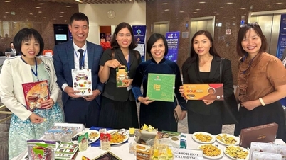 សកម្មភាពប្រចាំឆ្នាំដ៏ធំបំផុតរបស់សហគមន៍ធុរកិច្ចវៀតណាមនៅអឺរ៉ុប