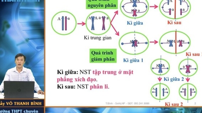 Cách tính kiểu gen nhanh nhất