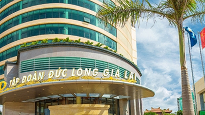 មហាសេដ្ឋីទីក្រុងភ្នំ Gia Lai បានគេចផុតពីការក្ស័យធនដោយមិននឹកស្មានដល់