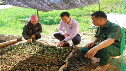 Thuan Chau(Son La): 민족 정책 프로그램 및 프로젝트로부터 투자 자원을 효과적으로 홍보