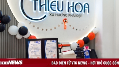 Thiều Hoa khẳng định uy tín với chứng nhận ISO 9001:2015