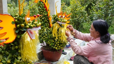 Tạo hình linh vật rồng từ cây cảnh