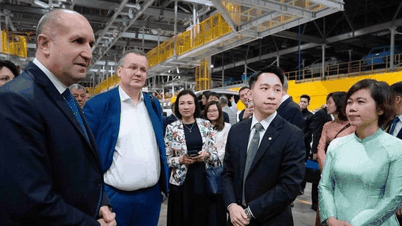 Lý lịch đáng nể của doanh nhân Phạm Nhật Minh Hoàng kết hôn với Á hậu