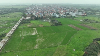 សំណើសុំលើកលែងពន្ធលើការប្រើប្រាស់ដីកសិកម្មរយៈពេល១០ឆ្នាំ
